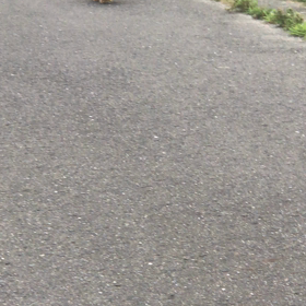 今日の夕さんぽの画像