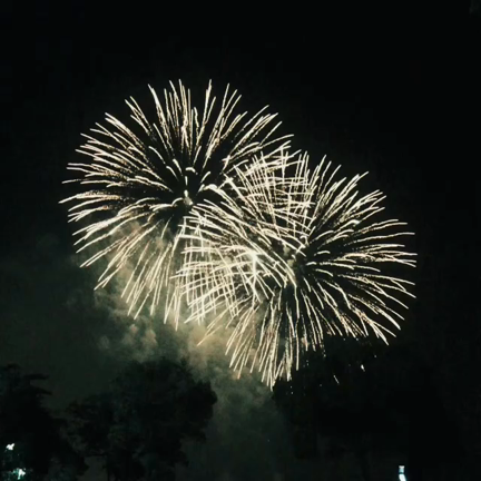 花火師さんと結婚したくなりました。の記事動画