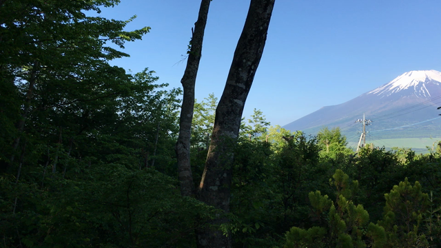 山中湖富士山パワー旅の記事動画