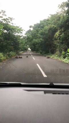 第二章のはじまりだの記事動画