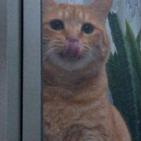 身体中がサバの臭いの画像