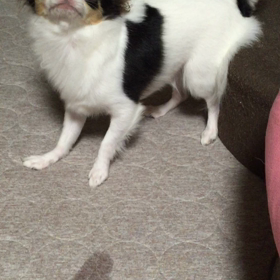 真夜中だろうと関係ないの画像