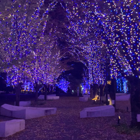 明日まであと少しの画像