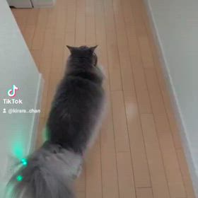 そらくんの画像