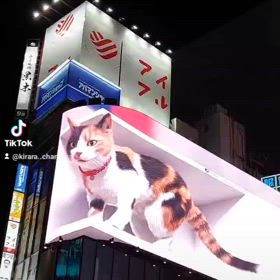 ☆新宿☆の画像