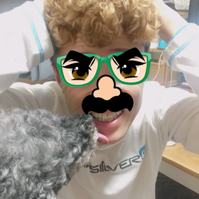 サラを探せ（第2弾）の画像