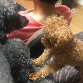 キライキライもスキのうち♡の画像