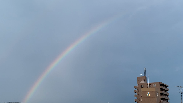 土砂降りのちRAINBOWの記事動画