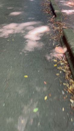 河内までピストンの記事動画