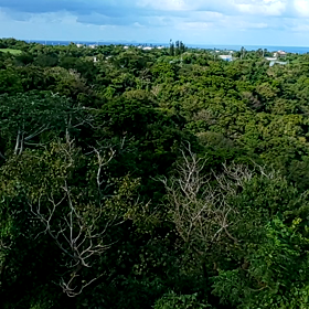 マジックアワーの画像