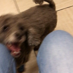 とんでもないイブに...の画像