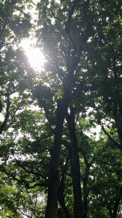 相馬神社に行きましたの記事動画