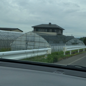 ん⁉️の画像
