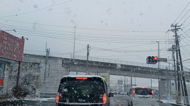 体験から学ぶ‼️の記事動画
