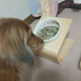 セイラが怖かったもの②の画像