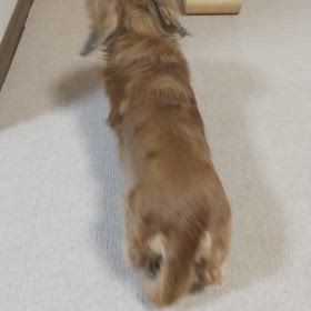 セイラが怖かったもの①の画像