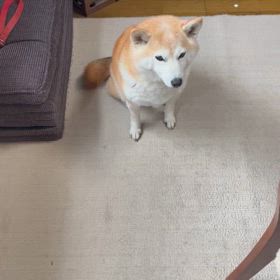 食べることが好きの画像