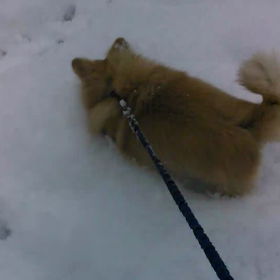 今日も今日とて。の画像