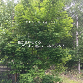 なかなか進まない！の画像