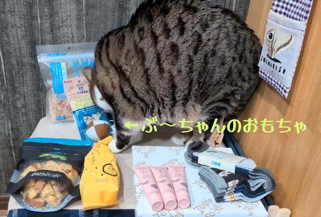 春キタ〜ッ！長い冬越え楽しみいっぱい♪の記事動画