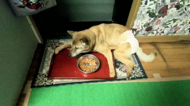 オイルショックの思い出の記事動画