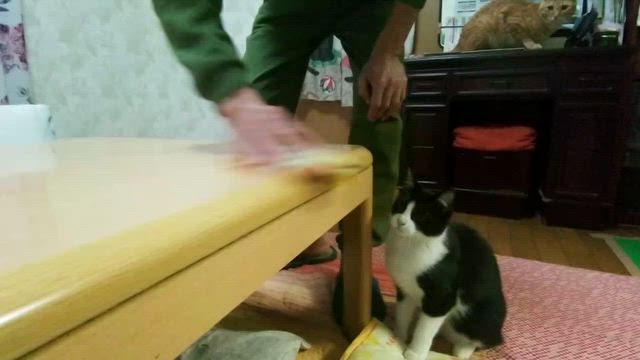 最近の楽しみは？の記事動画
