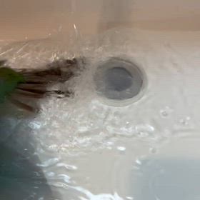 ビショビショからのふわふわの画像