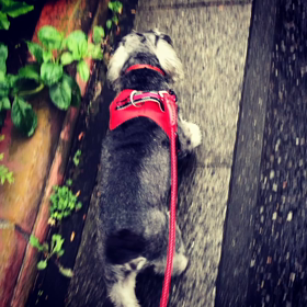 秋分の日の画像