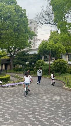 ご縁の記事動画