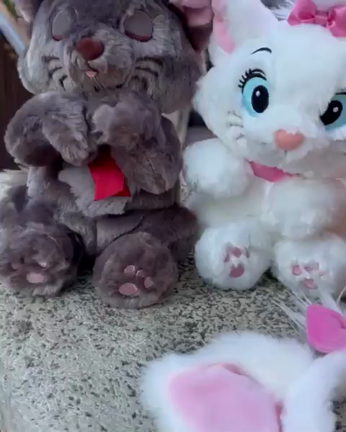 ねこの日の記事動画