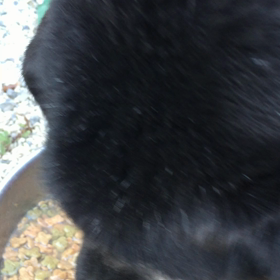 食べるか寝るかの画像