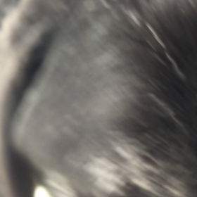 欲しがるよねーの画像