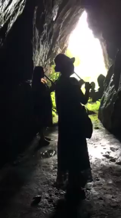 愛しの女子楽坊の記事動画
