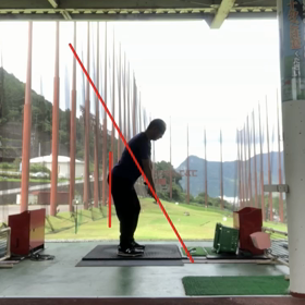 久しぶりの撮影の画像