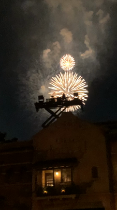 東京ディズニーシーに行ってきましたの記事動画