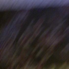 久しぶりです。の画像