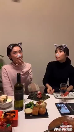 2019年のまとめと、来年の抱負。の記事動画