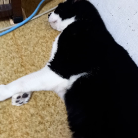 今夜も頑張ろうの画像