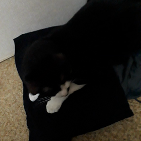 近況の画像