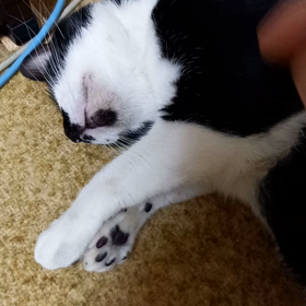休憩中の画像