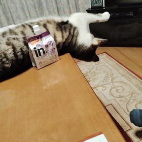 実実の画像