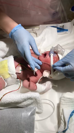 1歳の誕生日の記事動画