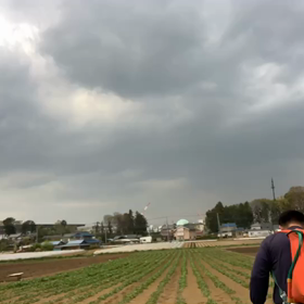 サラダごぼうの画像