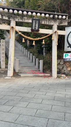 女将のルーティーン☆朝さんぽ【かんざんじサンビーチ・曹洞宗秋葉山舘山寺】の記事動画