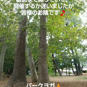 秋のパークヨガの画像
