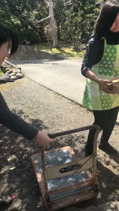 醤油絞りに行ってきました〜♪の記事動画