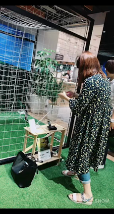 雪組さん公演の記事動画