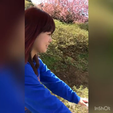 春のつくばっく！の記事動画