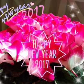 2017年 スタート！の画像
