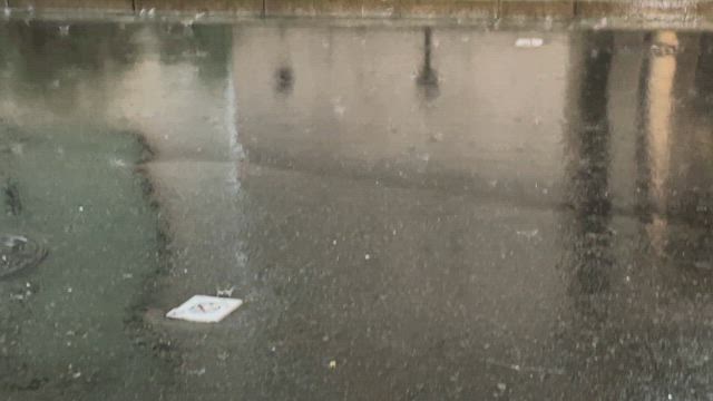 展示会3日目！突然の大雨と雷雨でびっくりでした、、の記事動画